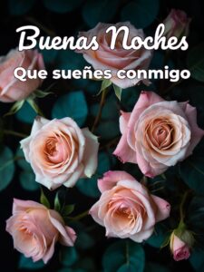 Mensajes lindos de buenas noches para mi amor para celular