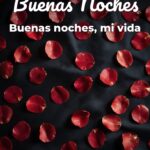 buenas noches buenas noches, mi vida