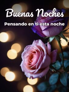 Mensajes lindos de buenas noches para mi novia para celular