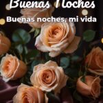 buenas noches buenas noches, mi vida