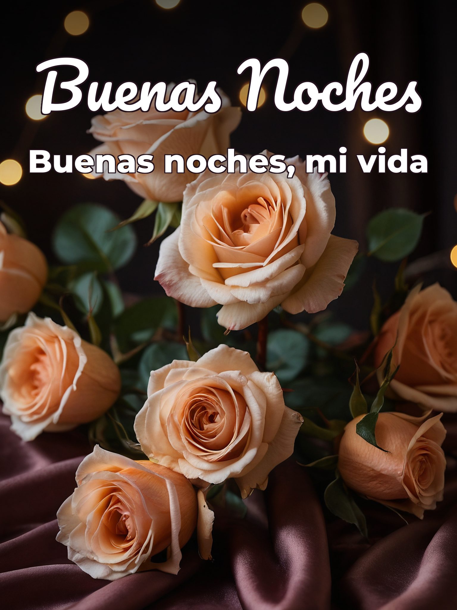 Mensajes lindos de buenas noches para mi novia para WhatsApp