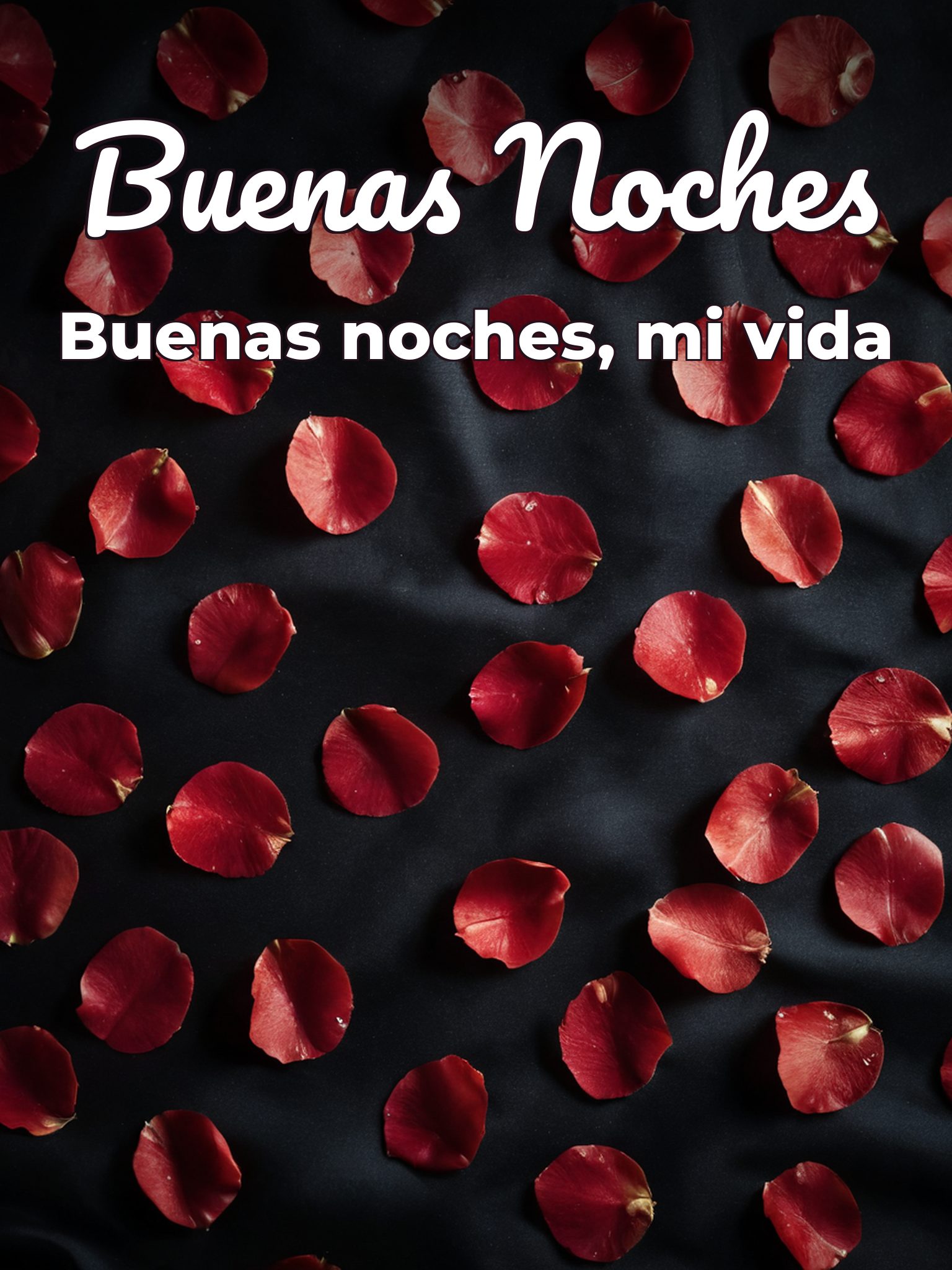 Mensajes lindos de buenas noches para mi novia
