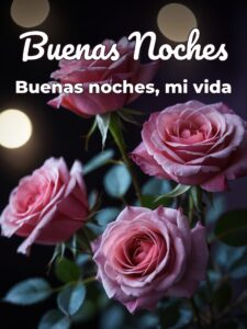 Mensajes lindos de buenas noches para mi novio para WhatsApp