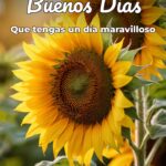 buenos días que tengas un día maravilloso