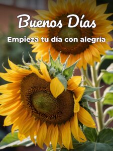 Mensajes para dar los buenos días