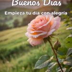 buenos días empieza tu día con alegría