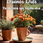 buenos días te deseo un lindo día