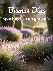 Mensajes para dar los buenos días para WhatsApp