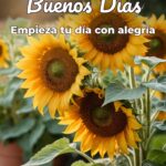 buenos días empieza tu día con alegría