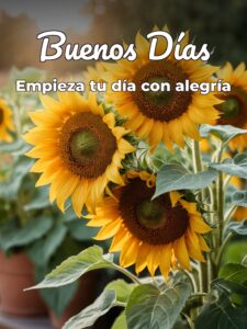 Mensajes para dar los buenos días romanticos para celular
