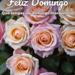 feliz domingo que tengas un domingo maravilloso
