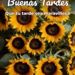 buenas tardes que tu tarde sea maravillosa