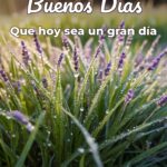 buenos días que hoy sea un gran día