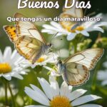 buenos días que tengas un día maravilloso