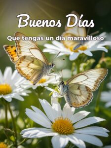 Msg de buenos días para descargar