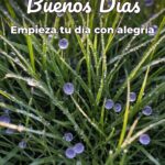 buenos días empieza tu día con alegría