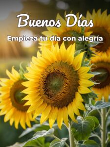 Msg de buenos dias para WhatsApp