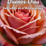 buenos días pensando en ti esta mañana