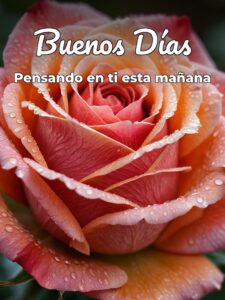 Msj buenos dias amor para una amiga