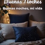 buenas noches buenas noches, mi vida