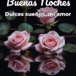 buenas noches dulces sueños, mi amor