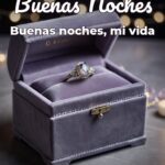 buenas noches buenas noches, mi vida