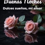buenas noches dulces sueños, mi amor