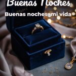 buenas noches buenas noches, mi vida