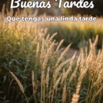 buenas tardes que tengas una linda tarde
