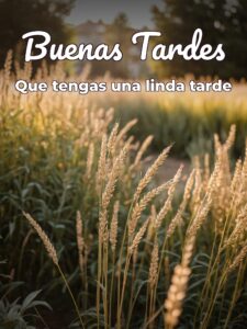 Msj de buenas tardes para WhatsApp celular
