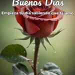 buenos días empieza tu día sabiendo que te amo