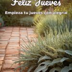 feliz jueves empieza tu jueves con alegría