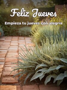 Muy buen jueves para celular descargar