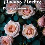 buenas noches dulces sueños, mi amor
