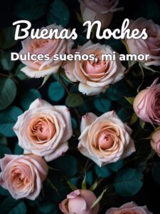 Muy buenas noches amor para WhatsApp