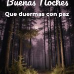 buenas noches que duermas con paz