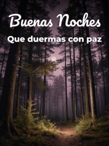 Muy buenas noches frases