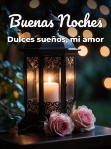 Muy buenas noches mi amor