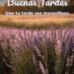 buenas tardes que tu tarde sea maravillosa