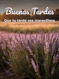 Muy buenas tardes para WhatsApp celular