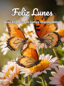 Muy buenos días feliz lunes