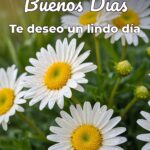 buenos días te deseo un lindo día
