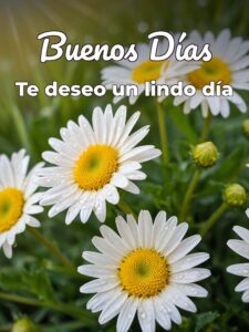 Muy buenos días frases para WhatsApp