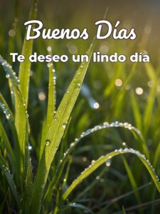 Muy buenos días imágenes