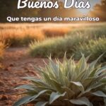 buenos días que tengas un día maravilloso
