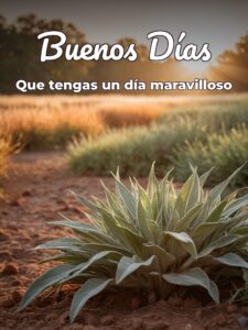Nuevas imágenes de buenos días para descargar