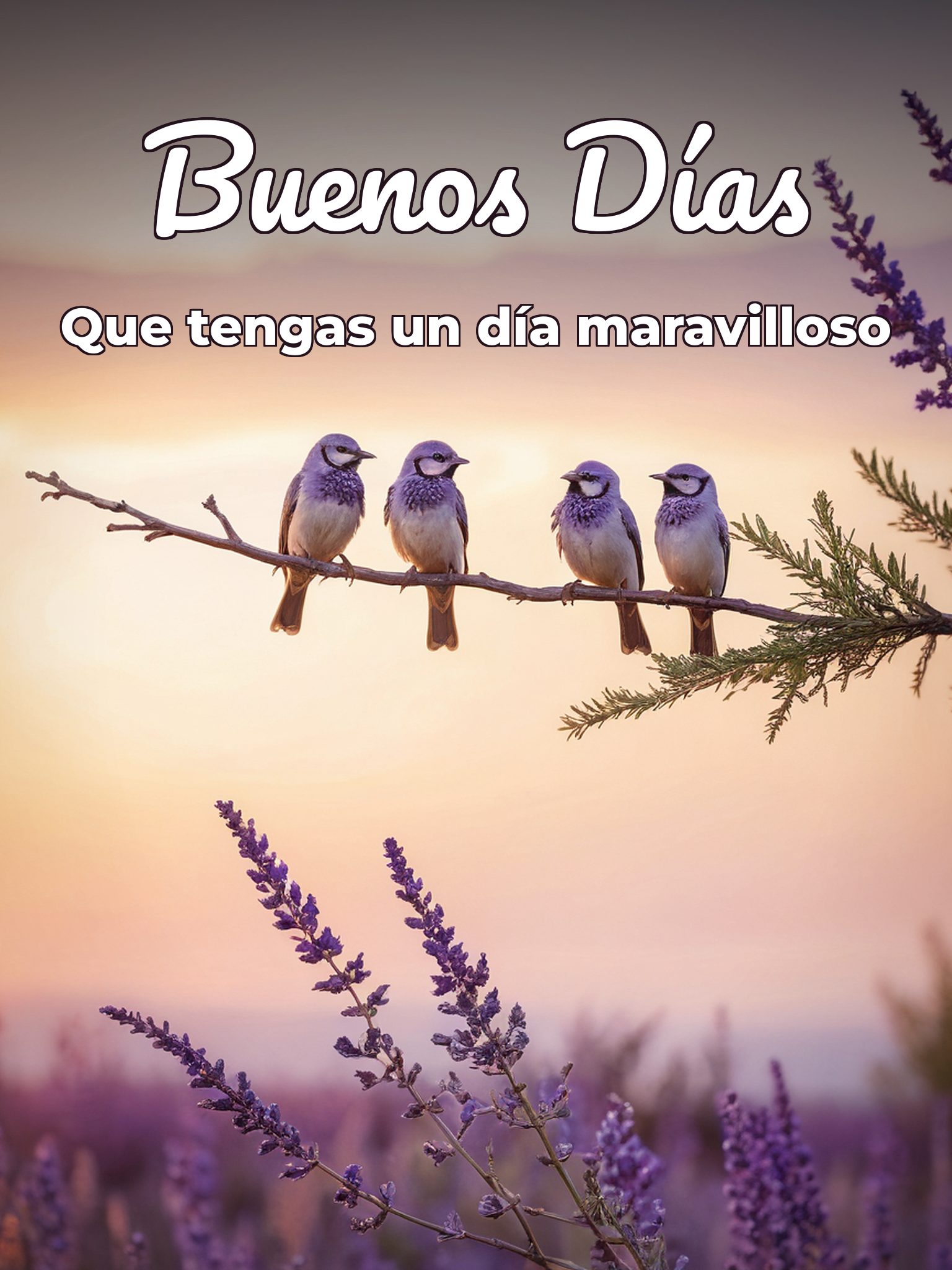 Palabras bellas de buenos días para descargar
