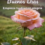 buenos días empieza tu día con alegría