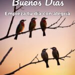 buenos días empieza tu día con alegría
