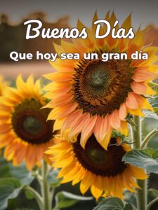 Palabras buenos días para una amiga